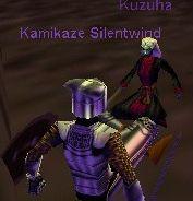 Silver Knight and Black Necromancer