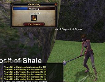 Arshmita(shaman)